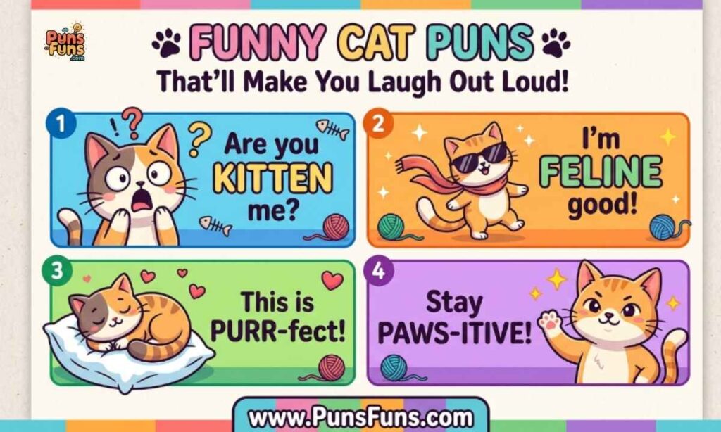 Funny Cat Puns That'll Make You Laugh Out Loud