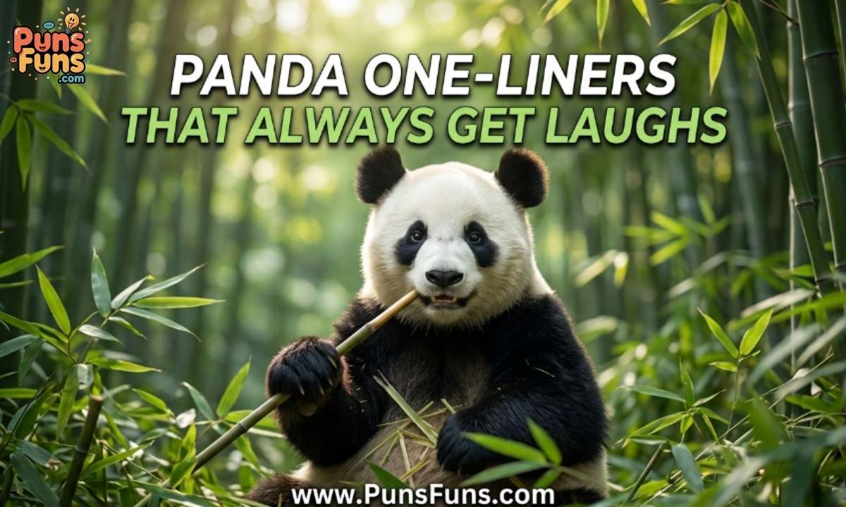 Panda One-Liners That Always Get Laughs